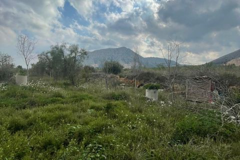 Cave house i El Canton, Murcia, El Canton - € 67.000 | Ref: MP6536 - foto 31
