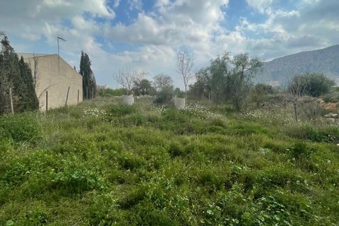 Cave house i El Canton, Murcia, El Canton - € 67.000 | Ref: MP6536 - foto 33