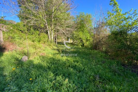 Terra a Arcos de Valdevez, Viana do Castelo, Arcos de Valdevez - € 45.000 | Ref: AV6489 - foto 10