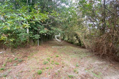 Terra a Arcos de Valdevez, Viana do Castelo, Arcos de Valdevez - € 45.000 | Ref: AV6489 - foto 12