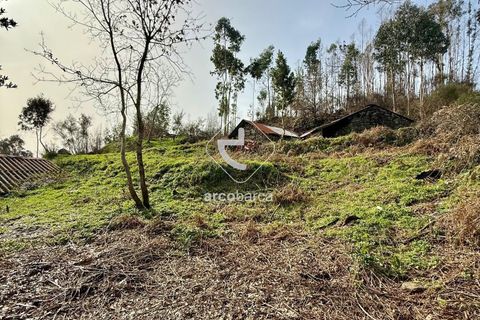 Byhus i Arcos de Valdevez, Viana do Castelo, Arcos de Valdevez - € 42.000 | Ref: AV6564 - foto 16
