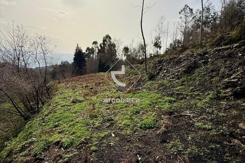 Byhus i Arcos de Valdevez, Viana do Castelo, Arcos de Valdevez - € 42.000 | Ref: AV6564 - foto 19