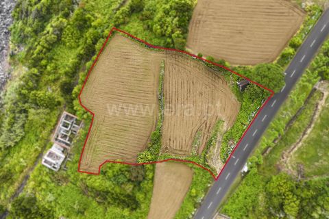 Terra a Sao Roque do Pico, Pico, Sao Roque do Pico - € 192.000 | Ref: 374260047 - foto 6