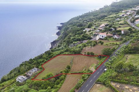 Terra a Sao Roque do Pico, Pico, Sao Roque do Pico - € 192.000 | Ref: 374260047 - foto 7