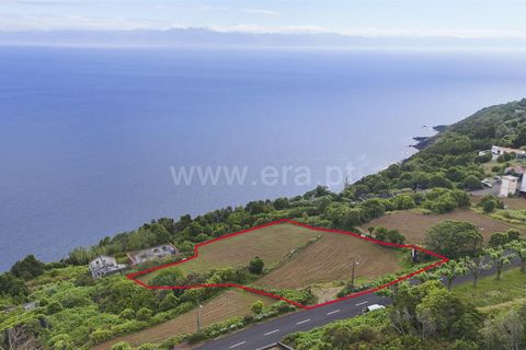 Terra a Sao Roque do Pico, Pico, Sao Roque do Pico - € 192.000 | Ref: 374260047 - foto 8