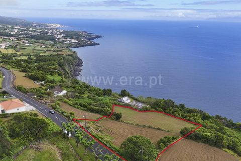Terra a Sao Roque do Pico, Pico, Sao Roque do Pico - € 192.000 | Ref: 374260047 - foto 10
