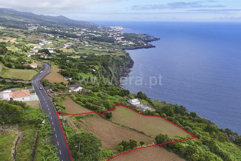 Terra a Sao Roque do Pico, Pico, Sao Roque do Pico - € 192.000 | Ref: 374260047 - foto 12