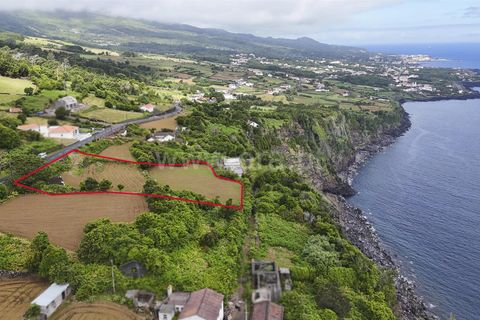 Terra a Sao Roque do Pico, Pico, Sao Roque do Pico - € 192.000 | Ref: 374260047 - foto 13