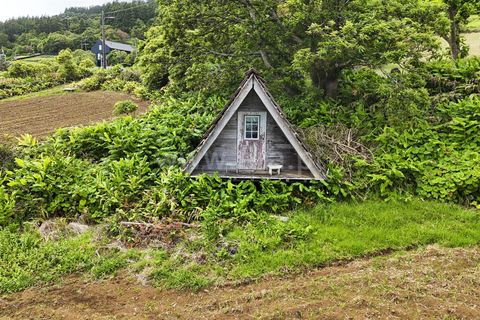 Terra a Sao Roque do Pico, Pico, Sao Roque do Pico - € 192.000 | Ref: 374260047 - foto 17