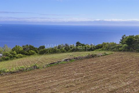 Terra a Sao Roque do Pico, Pico, Sao Roque do Pico - € 192.000 | Ref: 374260047 - foto 19