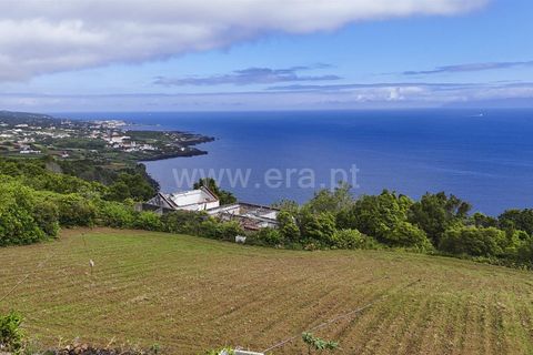 Terra a Sao Roque do Pico, Pico, Sao Roque do Pico - € 192.000 | Ref: 374260047 - foto 21