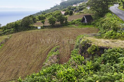 Terra a Sao Roque do Pico, Pico, Sao Roque do Pico - € 192.000 | Ref: 374260047 - foto 23
