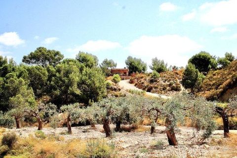 Villa i Murcia, Murcia, Murcia - € 450.000 | Ref: MLSC3181534/13477 - foto 16