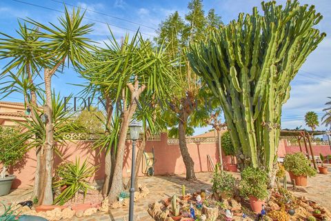 Villa en Mutxamel, Alicante, Mutxamel - € 550.000 | Ref: 01484/8734 - photo 30
