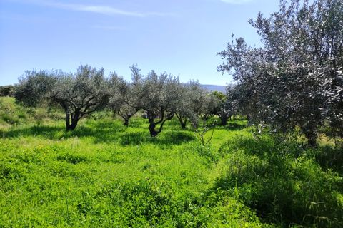 Landejendom i Agullent, Valencia, Agullent - € 167.000 | Ref: 3012 - foto 20