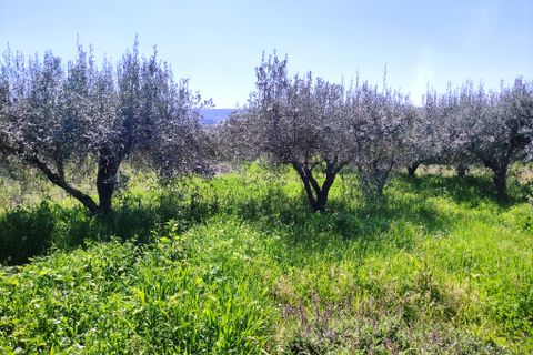Landejendom i Agullent, Valencia, Agullent - € 167.000 | Ref: 3012 - foto 21