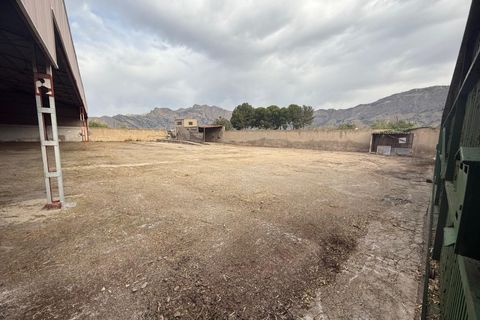 Terra a Orihuela, Alicante, Orihuela - € 245.000 | Ref: MocadiT-0006/9775 - foto 4