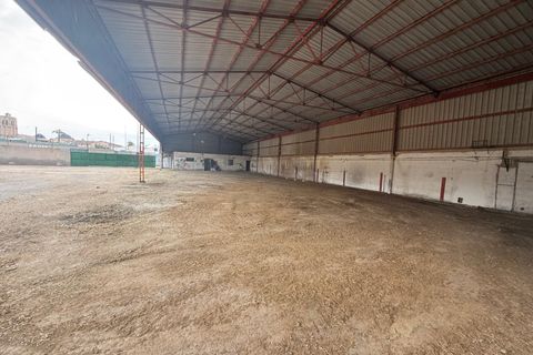 Terra a Orihuela, Alicante, Orihuela - € 245.000 | Ref: MocadiT-0006/9775 - foto 5