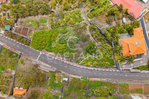 Helårsgrund i Ribeira Brava, Madeira, Ribeira Brava - € 260.000 | Ref: 3290 - foto 3