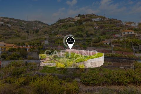 Helårsgrund i Ribeira Brava, Madeira, Ribeira Brava - € 260.000 | Ref: 3290 - foto 4