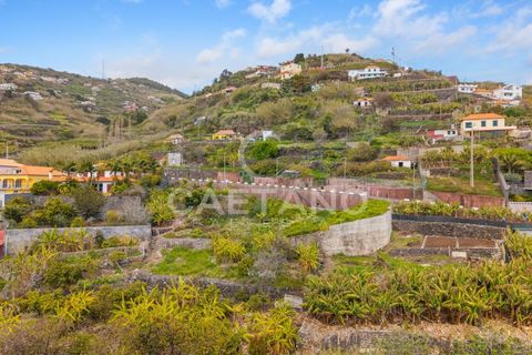 Helårsgrund i Ribeira Brava, Madeira, Ribeira Brava - € 260.000 | Ref: 3290 - foto 6