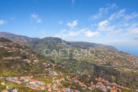Helårsgrund i Ribeira Brava, Madeira, Ribeira Brava - € 260.000 | Ref: 3290 - foto 11