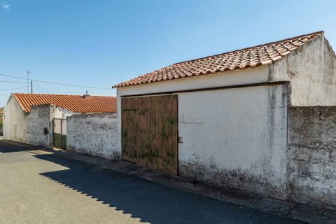 Villa a Castro Verde, Beja, Castro Verde - € 305.000 | Ref: SV2397a - foto 21
