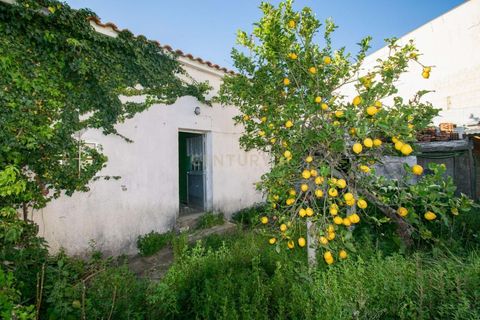 Villa i Coimbra, Coimbra, Coimbra - € 110.000 | Ref: C0234-02838 - foto 8