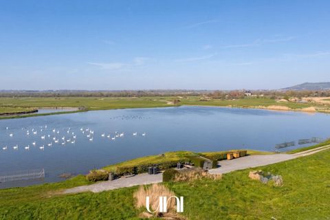 Terra a Varaville, Calvados, Varaville - € 357.000 | Ref: 7594811 - foto 2