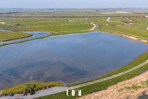 Terra a Varaville, Calvados, Varaville - € 357.000 | Ref: 7594811 - foto 3