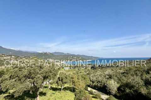 Estudi a Conca, Corse-du-Sud, Conca - € 225.000 | Ref: A2989 - foto 2