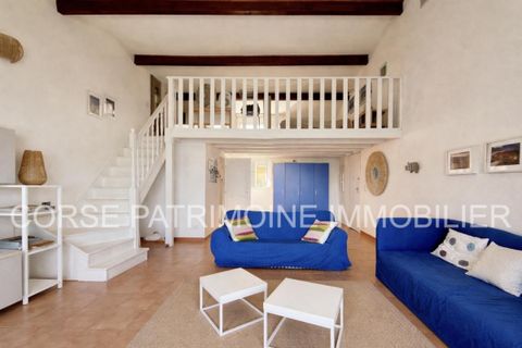 Estudi a Conca, Corse-du-Sud, Conca - € 225.000 | Ref: A2989 - foto 5