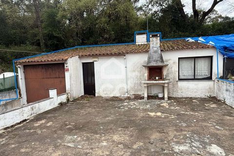 Byhus i Alcobaca, Leiria, Alcobaca - € 240.000 | Ref: 364/M/01257 - foto 22