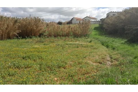 Helårsgrund i Alcobaca, Leiria, Alcobaca - € 65.000 | Ref: SÒL_61 - foto 1