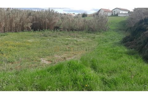 Helårsgrund i Alcobaca, Leiria, Alcobaca - € 65.000 | Ref: SÒL_61 - foto 2