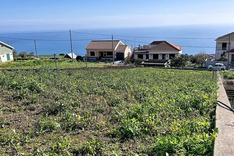 Helårsgrund i Ponta do Sol, Madeira, Ponta do Sol - € 48.000 | Ref: SF-SAFTI:008050 - foto 5
