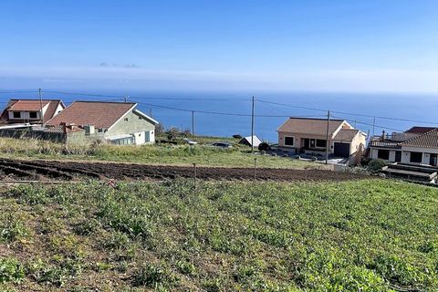 Helårsgrund i Ponta do Sol, Madeira, Ponta do Sol - € 48.000 | Ref: SF-SAFTI:008050 - foto 7