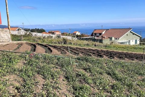 Helårsgrund i Ponta do Sol, Madeira, Ponta do Sol - € 48.000 | Ref: SF-SAFTI:008050 - foto 8