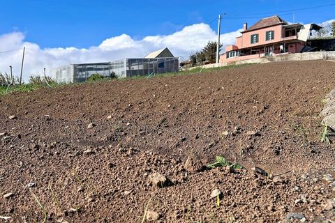 Helårsgrund i Ponta do Sol, Madeira, Ponta do Sol - € 48.000 | Ref: SF-SAFTI:008050 - foto 10