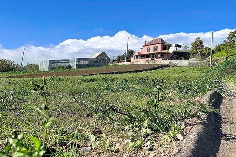Helårsgrund i Ponta do Sol, Madeira, Ponta do Sol - € 48.000 | Ref: SF-SAFTI:008050 - foto 11
