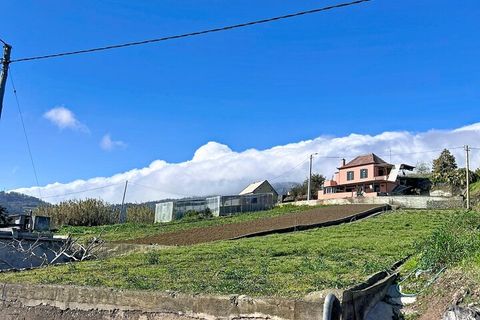 Helårsgrund i Ponta do Sol, Madeira, Ponta do Sol - € 48.000 | Ref: SF-SAFTI:008050 - foto 14