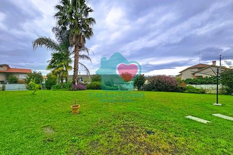 Villa i Agueda, Aveiro, Agueda - € 580.000 | Ref: CS/014/2026 - foto 44