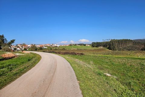 Helårsgrund i Cadaval, Lisbon, Cadaval - € 127.500 | Ref: BL1343 - foto 4