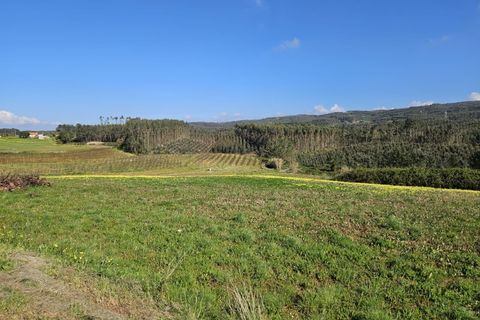 Helårsgrund i Cadaval, Lisbon, Cadaval - € 127.500 | Ref: BL1343 - foto 5