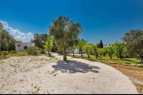 Villa i Ostuni, Brindisi, Ostuni - € 650.000 | Ref: 919 - foto 15