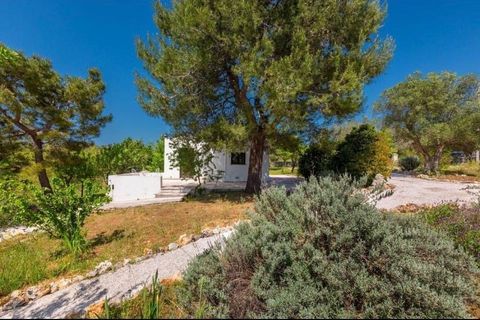 Villa i Ostuni, Brindisi, Ostuni - € 650.000 | Ref: 919 - foto 18