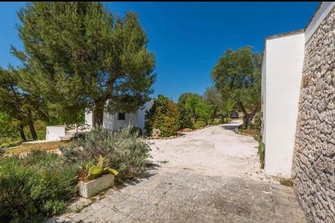 Villa i Ostuni, Brindisi, Ostuni - € 650.000 | Ref: 919 - foto 46
