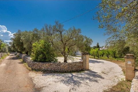 Villa i Ostuni, Brindisi, Ostuni - € 650.000 | Ref: 919 - foto 48
