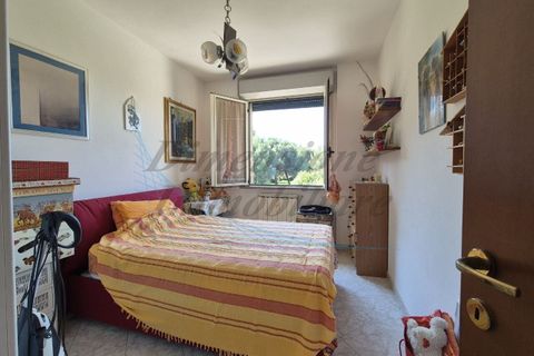 Lejlighed i Rosignano Marittimo, Livorno, Rosignano Marittimo - € 190.000 | Ref: R426 - foto 22