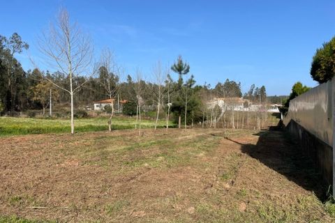 Helårsgrund i Macinhata do Vouga, Aveiro, Macinhata do Vouga - € 33.000 | Ref: KWPT-030034 - foto 1
